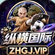 纵横国际