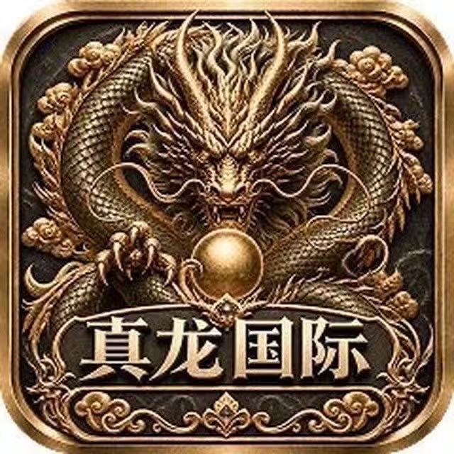 真龙国际